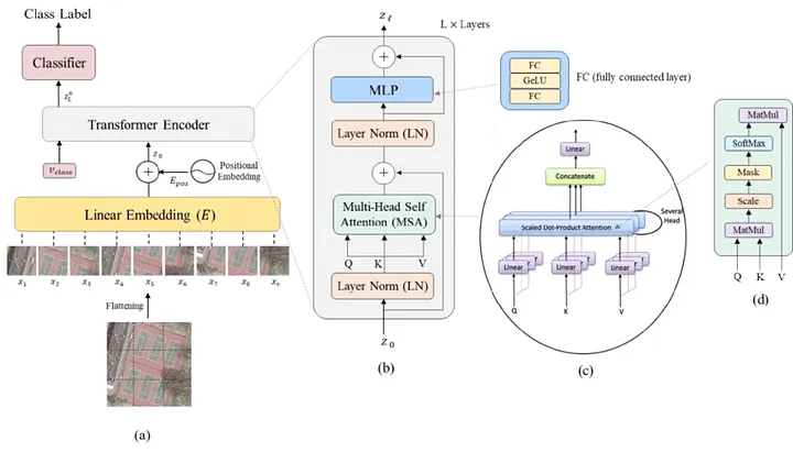 ViT architecture